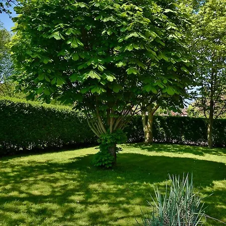 Casa vacanze 8er Huus Wangarou *