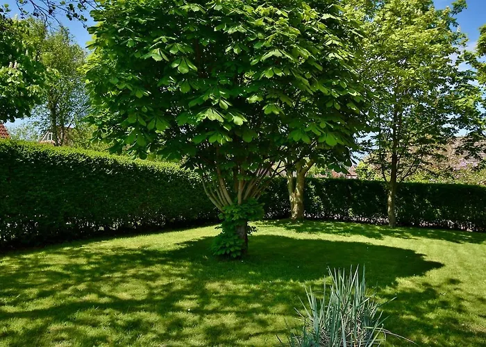 Nyaraló 8er Huus Wangarou *